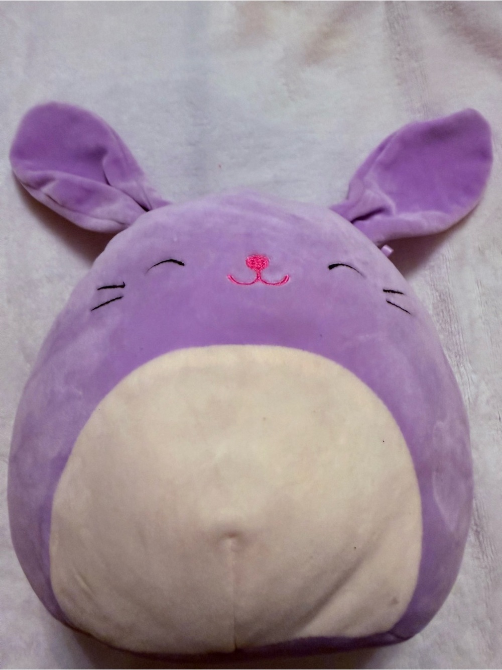Sqiuisallows Purple Bunny